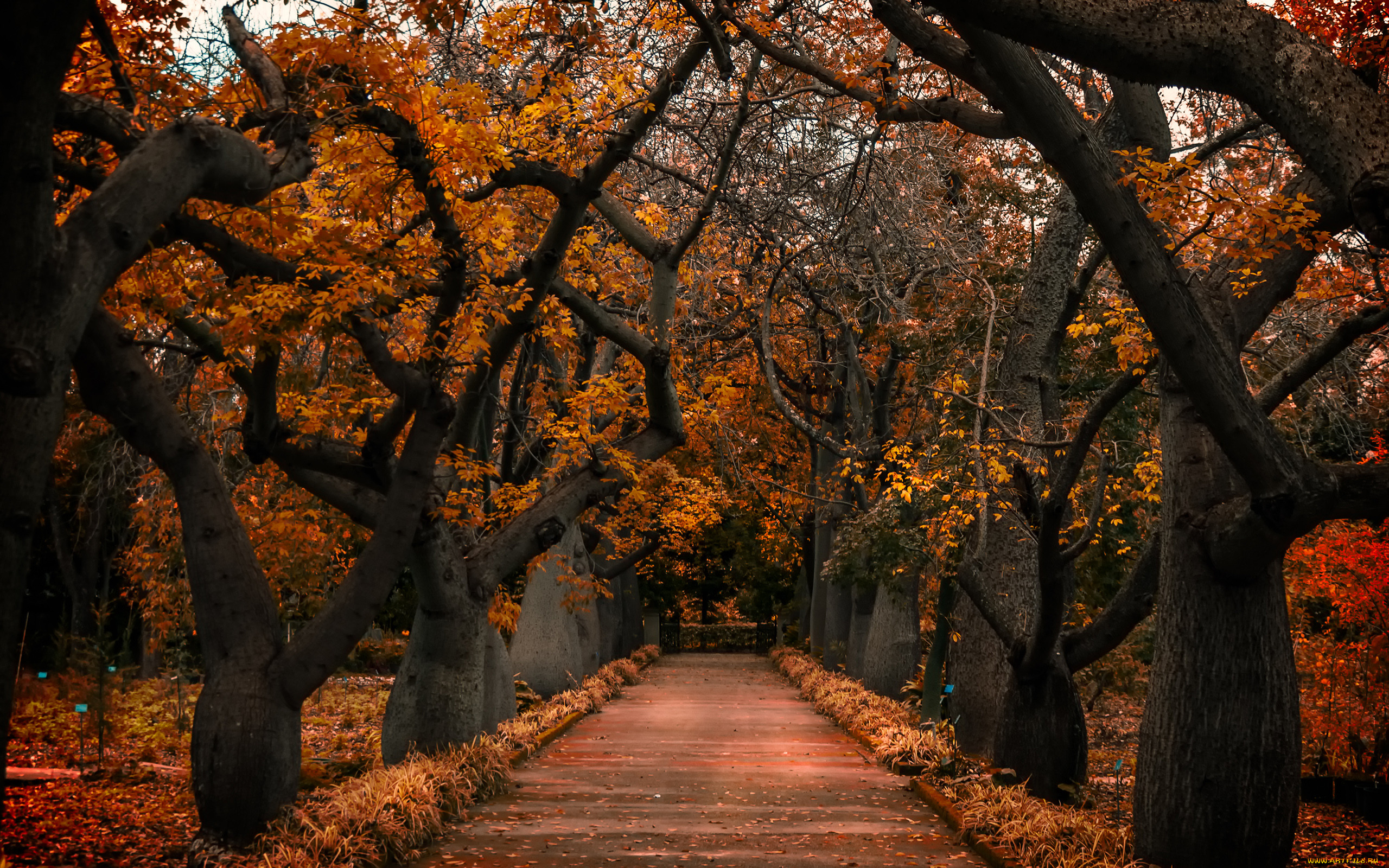 B autumn. Осенний парк. Красивая осень. Старый осенний парк. Осень парк красивая аллеям.